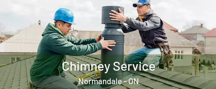  Chimney Service Normandale - ON