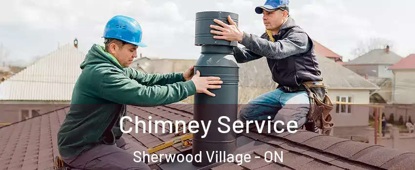  Chimney Service Sherwood Village - ON