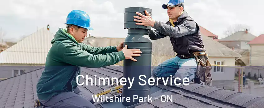 Chimney Service Wiltshire Park - ON