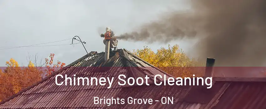  Chimney Soot Cleaning Brights Grove - ON