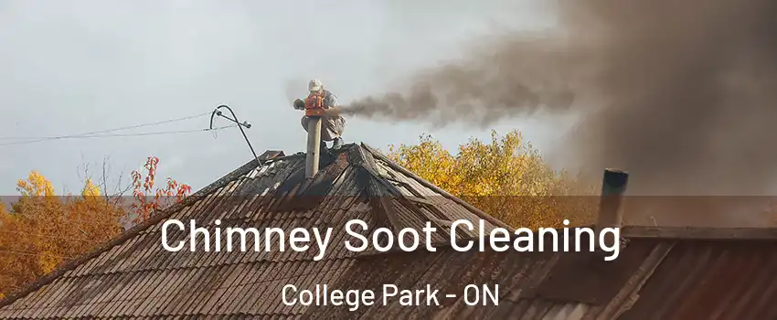  Chimney Soot Cleaning College Park - ON