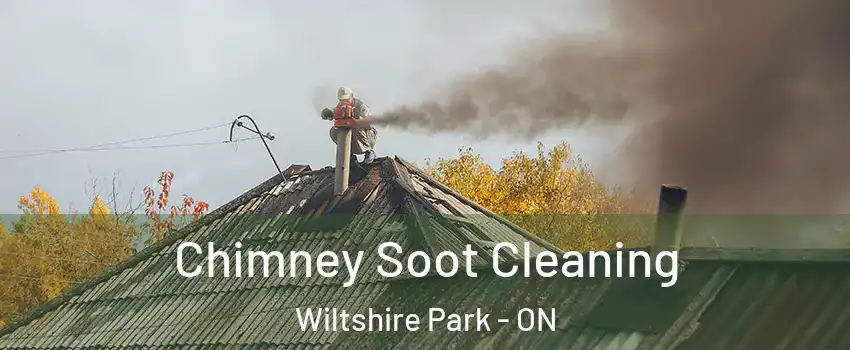  Chimney Soot Cleaning Wiltshire Park - ON