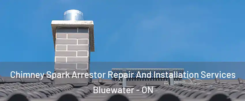  Chimney Spark Arrestor Repair And Installation Services Bluewater - ON
