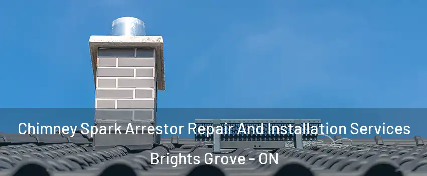  Chimney Spark Arrestor Repair And Installation Services Brights Grove - ON