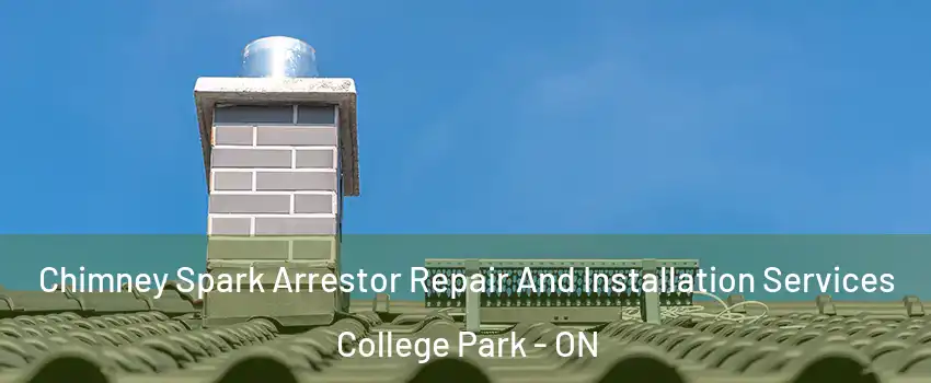 Chimney Spark Arrestor Repair And Installation Services College Park - ON