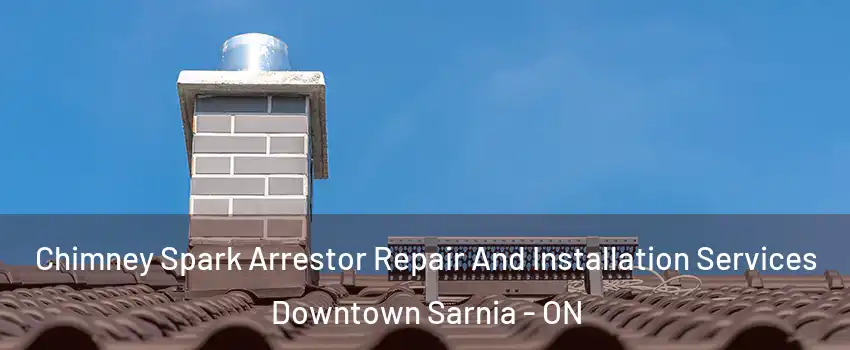  Chimney Spark Arrestor Repair And Installation Services Downtown Sarnia - ON