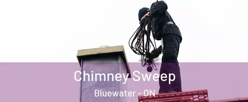  Chimney Sweep Bluewater - ON