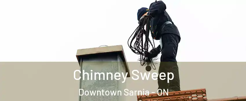  Chimney Sweep Downtown Sarnia - ON