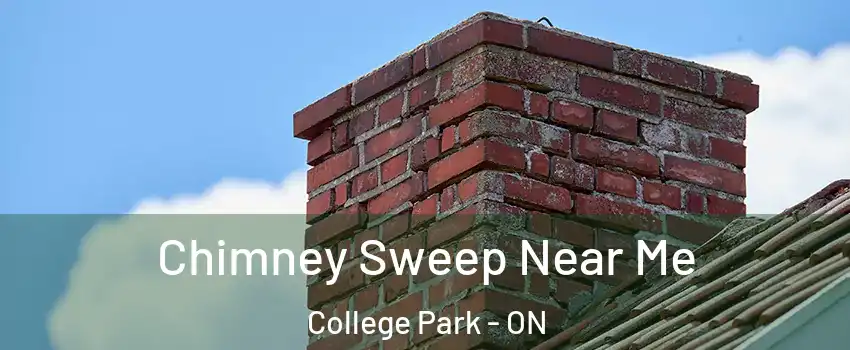  Chimney Sweep Near Me College Park - ON