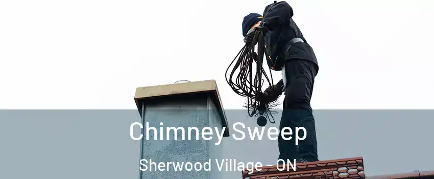  Chimney Sweep Sherwood Village - ON