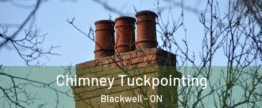  Chimney Tuckpointing Blackwell - ON