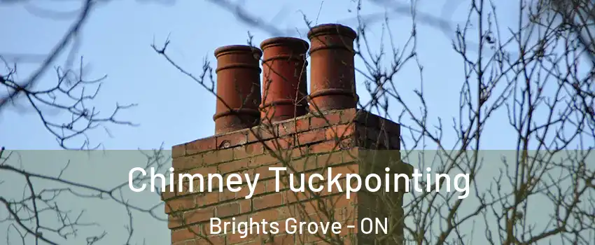  Chimney Tuckpointing Brights Grove - ON
