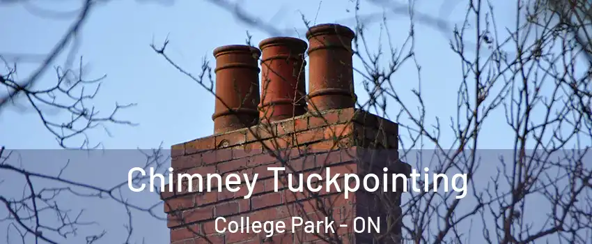  Chimney Tuckpointing College Park - ON