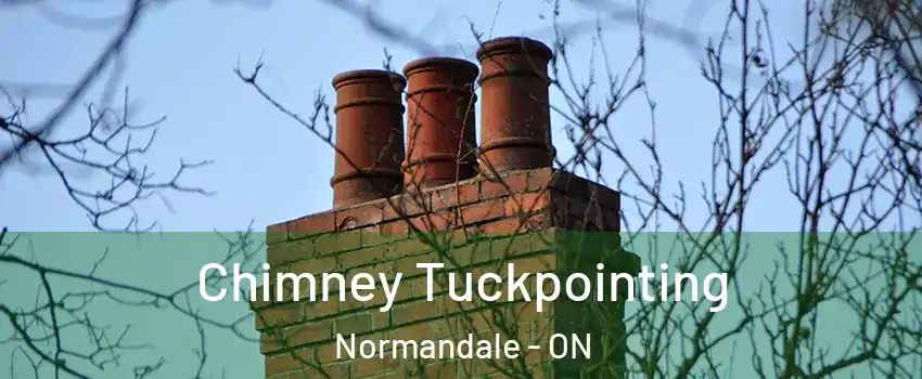  Chimney Tuckpointing Normandale - ON