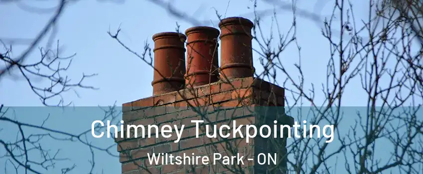  Chimney Tuckpointing Wiltshire Park - ON