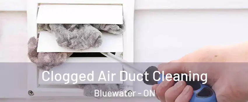  Clogged Air Duct Cleaning Bluewater - ON