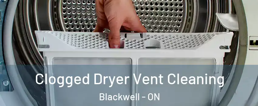  Clogged Dryer Vent Cleaning Blackwell - ON