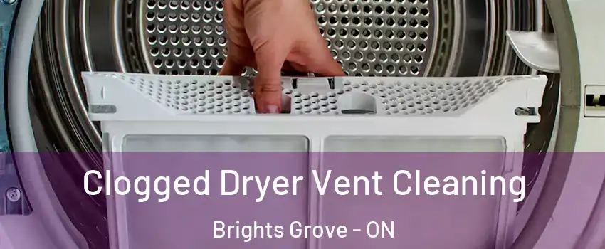  Clogged Dryer Vent Cleaning Brights Grove - ON