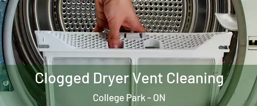  Clogged Dryer Vent Cleaning College Park - ON