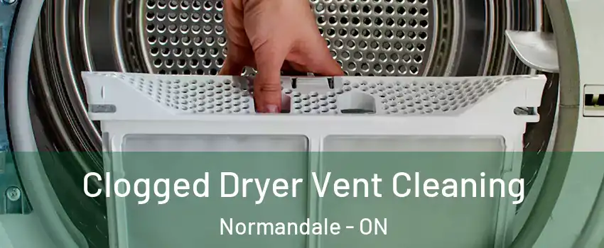  Clogged Dryer Vent Cleaning Normandale - ON