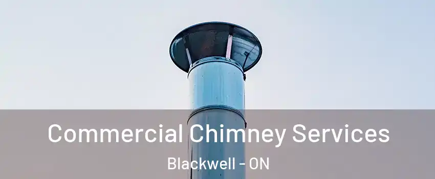  Commercial Chimney Services Blackwell - ON