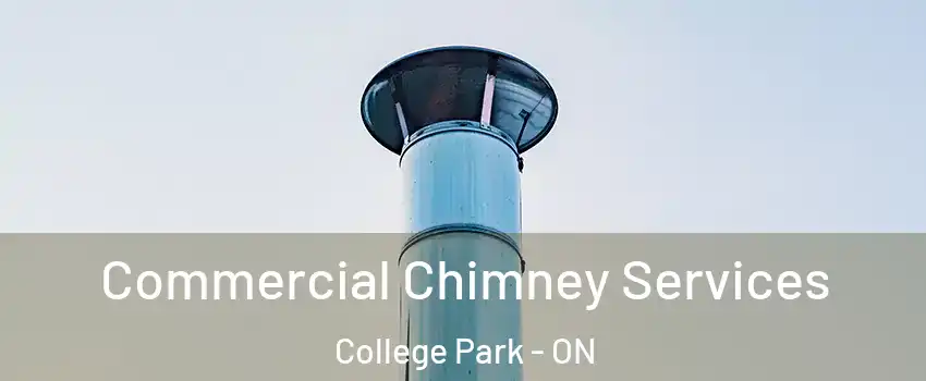  Commercial Chimney Services College Park - ON