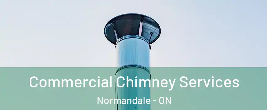  Commercial Chimney Services Normandale - ON