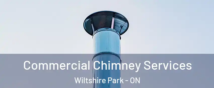  Commercial Chimney Services Wiltshire Park - ON