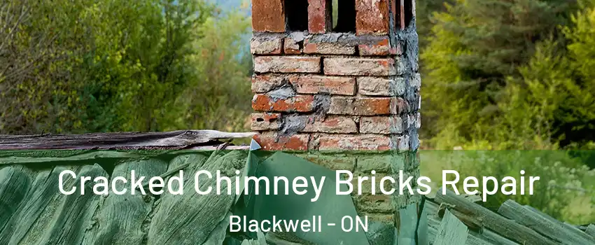  Cracked Chimney Bricks Repair Blackwell - ON