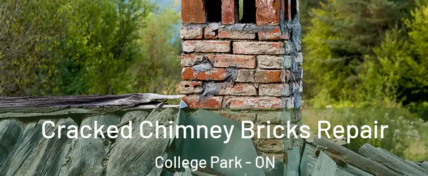  Cracked Chimney Bricks Repair College Park - ON