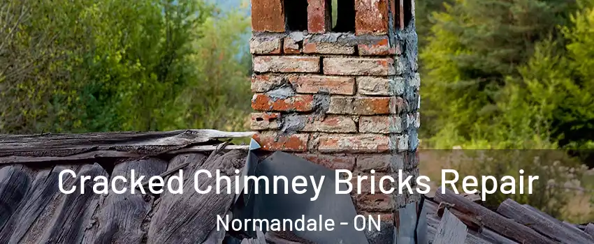  Cracked Chimney Bricks Repair Normandale - ON