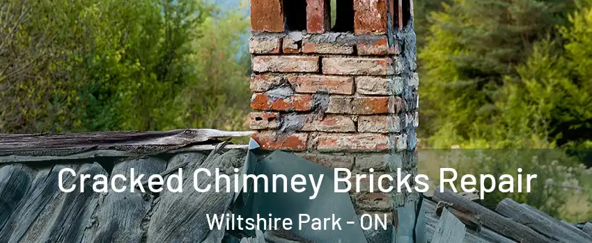  Cracked Chimney Bricks Repair Wiltshire Park - ON