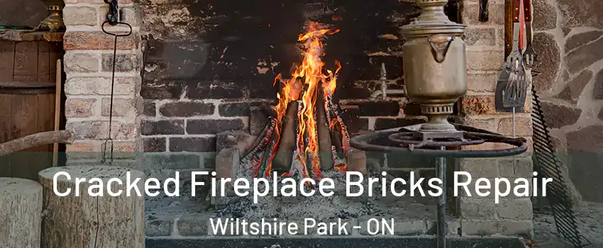  Cracked Fireplace Bricks Repair Wiltshire Park - ON