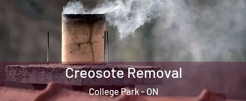  Creosote Removal College Park - ON