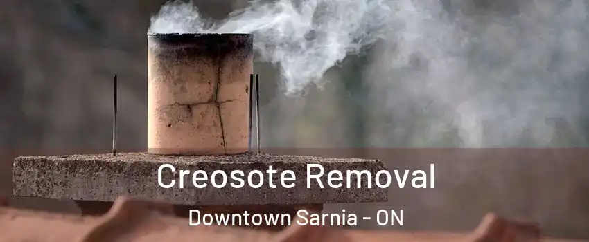  Creosote Removal Downtown Sarnia - ON