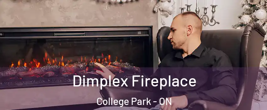  Dimplex Fireplace College Park - ON