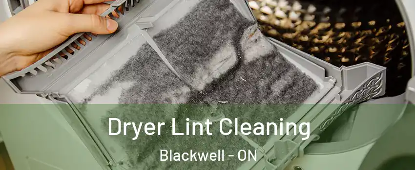  Dryer Lint Cleaning Blackwell - ON