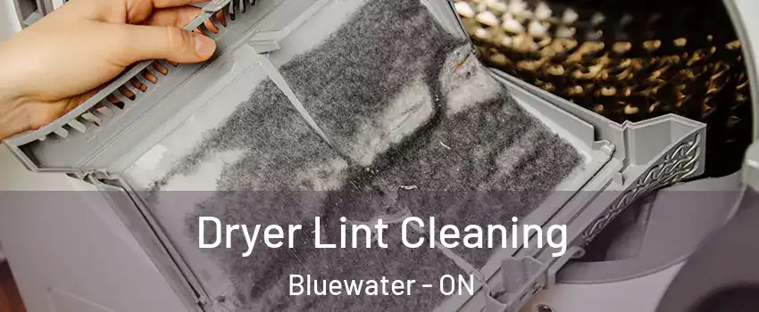  Dryer Lint Cleaning Bluewater - ON