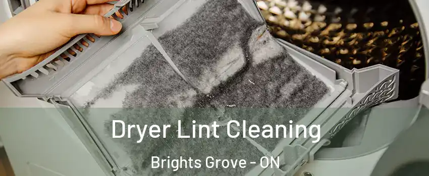  Dryer Lint Cleaning Brights Grove - ON