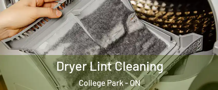  Dryer Lint Cleaning College Park - ON