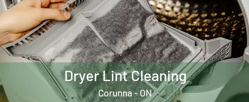  Dryer Lint Cleaning Corunna - ON