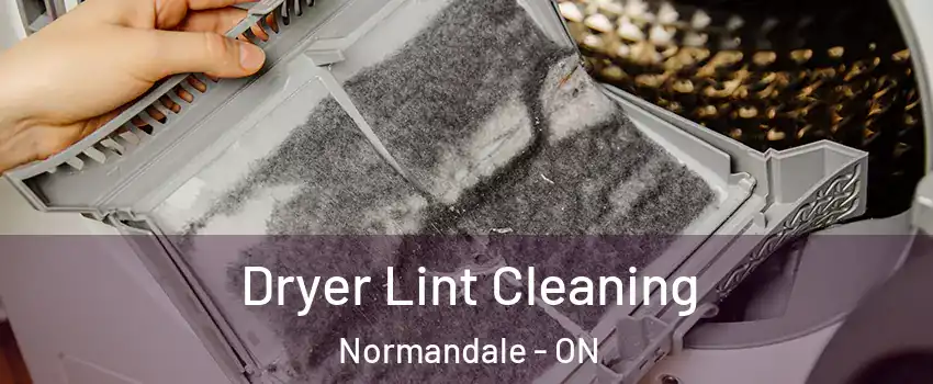  Dryer Lint Cleaning Normandale - ON