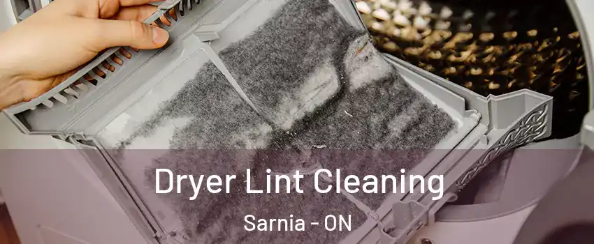  Dryer Lint Cleaning Sarnia - ON