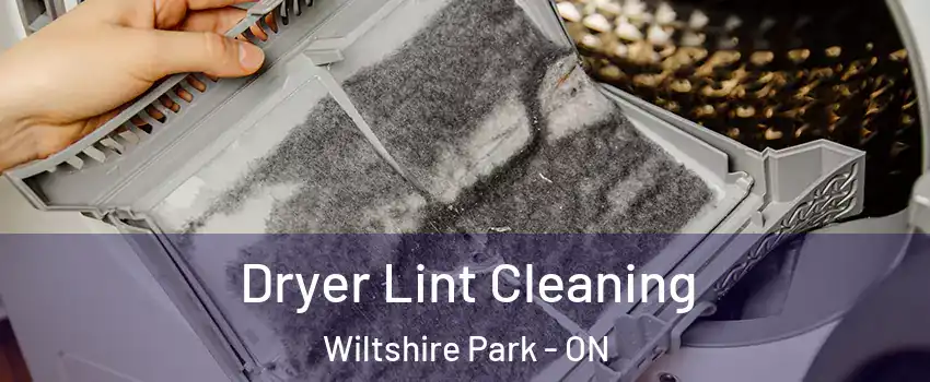  Dryer Lint Cleaning Wiltshire Park - ON