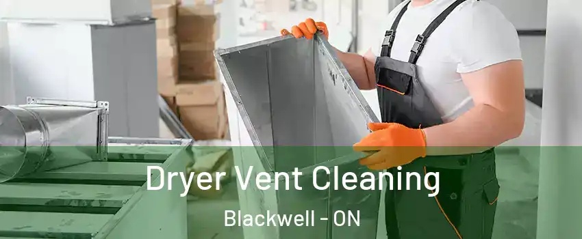  Dryer Vent Cleaning Blackwell - ON