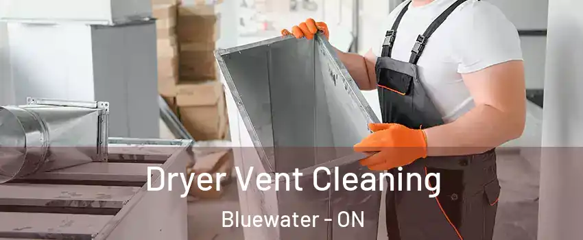  Dryer Vent Cleaning Bluewater - ON