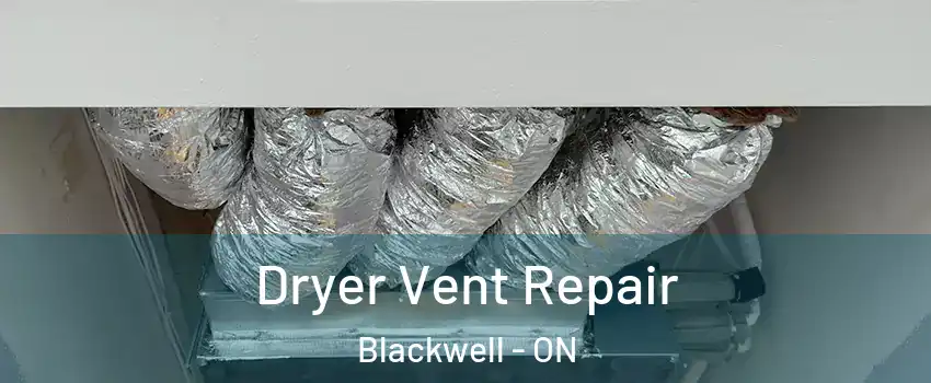  Dryer Vent Repair Blackwell - ON