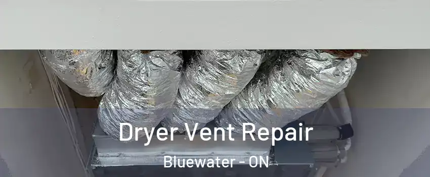  Dryer Vent Repair Bluewater - ON