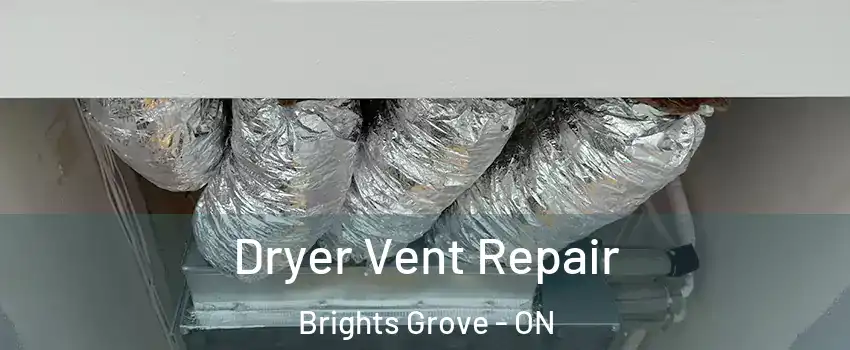  Dryer Vent Repair Brights Grove - ON