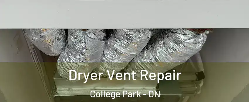  Dryer Vent Repair College Park - ON